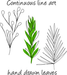 Hand Drawn Floral element vector set for design and decorations.