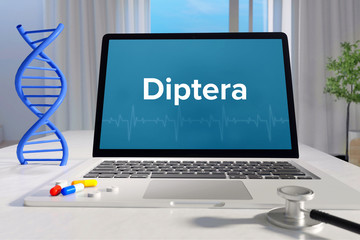 Diptera– Medicine/health. Computer in the office with term on the screen. Science/healthcare