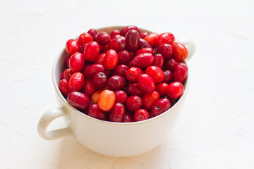 Dogwood is a sweet and sour red fruit. medicinal plant. ripe vitamin berries. Dogwood on a wooden white background in a white plate with space for text. The concept of a healthy lifestyle. gardening