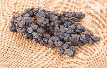 Cluster of raisins on a jute textile background.