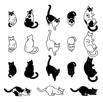 Cute black and white cats set, funny pet collection, vector illustration