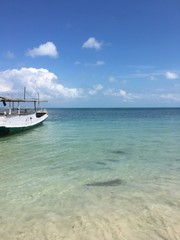 Fototapeta premium boat on the beach