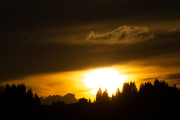 Sunset over Alpine Trees near Morzine, France.