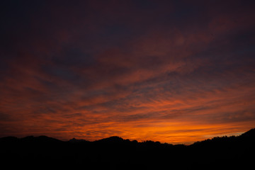 Sunset over Alpine Trees near Morzine, France.
