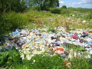 Illegal garbage dump on the edge of the forest.