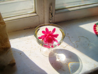 A red flower in a glass of water stands on an old windowsill.