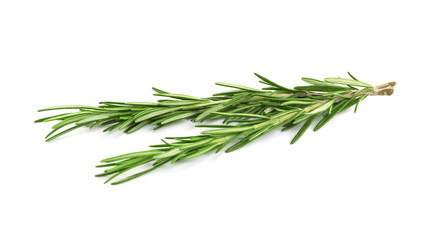 Fototapeta premium Fresh green rosemary isolated on white. Aromatic herb