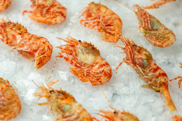 Boiled sea prawns lie on ice crumbs. Shrimps are laid flat on the surface of the ice.