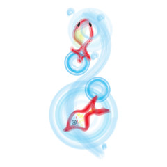 Obraz premium 金魚