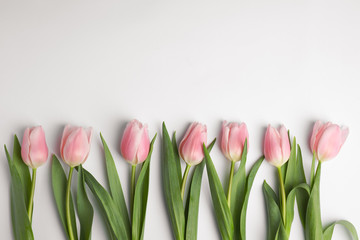 Obraz na płótnie Canvas Beautiful pink spring tulips on white background, top view