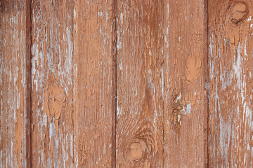 Obraz premium Faded wooden boards with corrosion. Cleaned wooden doors from several planks. Old natural wooden board without paint. Wooden background, copy space.