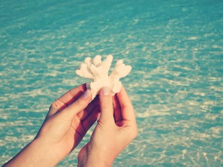 Exotic white corals in the hands of the turquoise islands of the Maldives