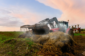 tractor and its telescopic fork handling manure