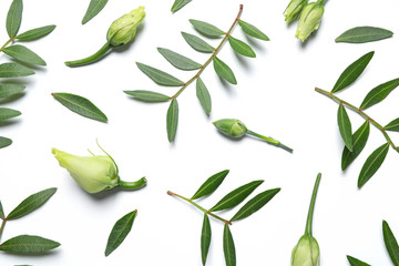 Layout with flower buds and green branches on white background, top view. Floral card design