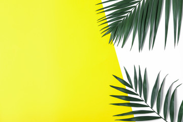 Beautiful lush tropical leaves on color background. Space for text