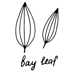 Fototapeta premium Hand drawn isolated indian food icon. Black outline illustration of indian spice. Bay leaf icon