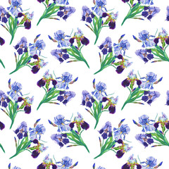 Blue and violet irises. Watercolor flowers on a white background.Illustration.Seamless pattern