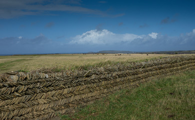 Cornish Wall a combination of a stone wall It has an earth centre and is then faced each side with local stone