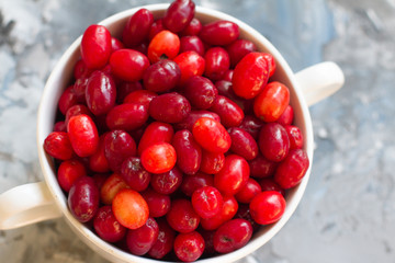 Dogwood is a sweet and sour red fruit. medicinal plant. ripe berries vitamin. Dogwood on a wooden blue background in a white plate with space for text. The concept of a healthy lifestyle