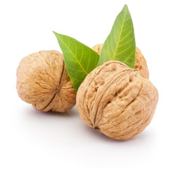 Walnut isolated on white background