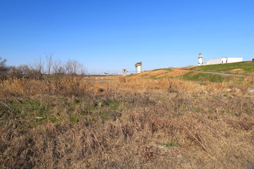 冬枯れの江戸川河川敷風景