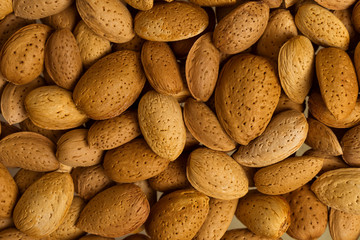 a lot of nuts close-up. unpeeled almonds. natural background for healthy eating concept