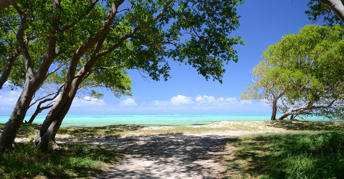 Plage tropicale Nouvelle Cal&eacute;donie