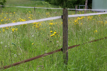 Electric fencing around pasture with farm animals