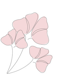 Flowers spring background design vector illustration	