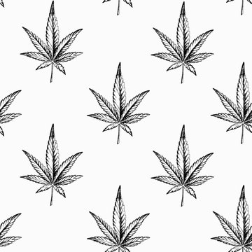 Cannabis leaves seamless pattern. Hand-drawn ink hemp for banner design, packaging and scrapbooking paper. Legalize marijuana. Stock vector illustration isolated on transparent background.