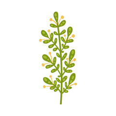 Stylized Floral Composition with Fancy Shaped Flowers Vector Illustration