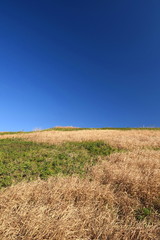 冬の江戸川土手風景