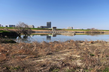 冬の江戸川河川敷と対岸風景