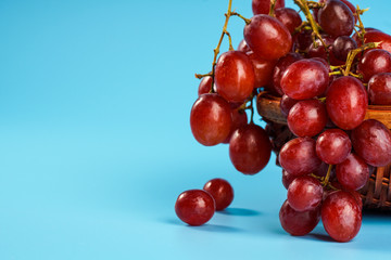 Fresh grape in an old buskets on blue background with copyspace. Selective focus