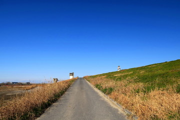冬の江戸川土手風景
