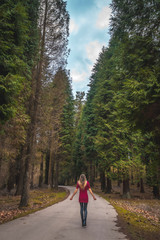 Fototapeta premium A young straight-haired blonde in a red dress visiting a pine forest. Lifestyle session