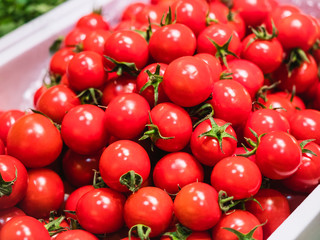 Cherry Tomatoes fresh Vegetable in market