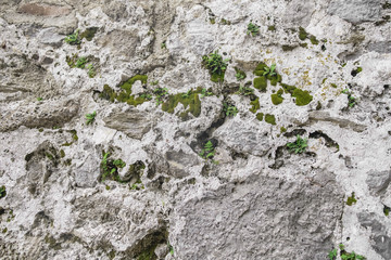 Old antique masonry walls made of stone. The texture of a gray stone wall.