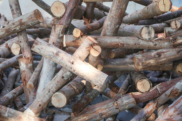 Cut logs pile used in dark tone