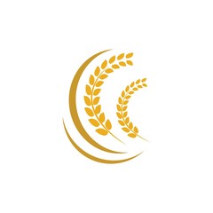 Wheat logo vector icon