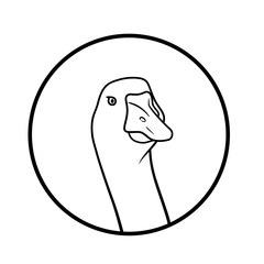 Goose head looking forwards in a circle. Animal illustration for kids book and biology lesson. Logotype for farm business. Raster image for children coloring book and page