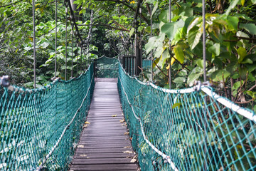 Canopy walkway in KL Forest Eco Park. Kuala Lumpur, Malaysia