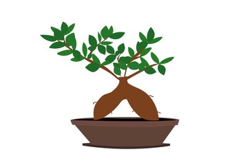 drzewko bonsai, kwiat, pasja, roślina, doniczka, ziemia, pasja, hobby, ogród, drzewko miniatura, miniaturowe, kwiaty, ogród, sad, szklarnia, kobieta, dom, mieszkanie, ozdoba, dekoracja, naklejka, liść © monikakosz