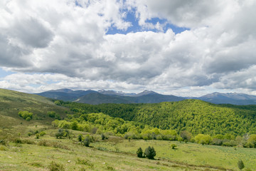 Forests, mountains and cloudy sky