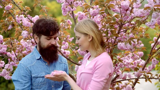 Beautiful garden flowers. Married couple in love. Cherry Blossom Festival. Happy loving couple. Couple in love. Sakura Festival. Beautiful lady and guy on blooming cherry-tree Spring background.