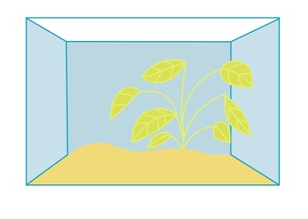 akwarium, rybki, pasja, hobby, słodkowodne, rośliny © monikakosz
