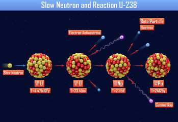 Slow Neutron and Reaction U-238 (3d illustration)