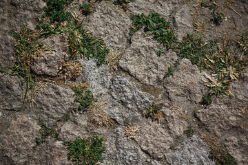 Natural stone texture with moss and shadow pattern. Rock covered with moss and grass, gray stone and green moss with highlights