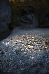 Texture of gold coins on a grey stone. Finance, economy, money of tourists from different countries