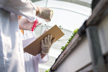 Group of scientist is taking note about experiment results of hydroponic vegetables.